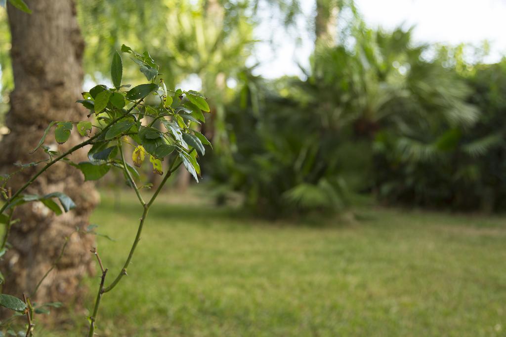 B&B Villa Fanizza Porto Cesareo Kültér fotó